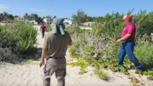 Continúa la devastación ambiental en la costa de Yucatán