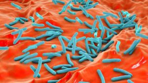 Bacteria “carnívora” avanza en EE. UU.; alertan por infecciones graves