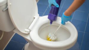 Vinagre blanco: el truco casero para eliminar el sarro del inodoro fácilmente