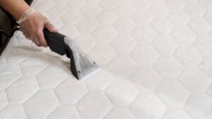 Eliminar ácaros del colchón: pasos de un experto para dejarlo libre de plagas