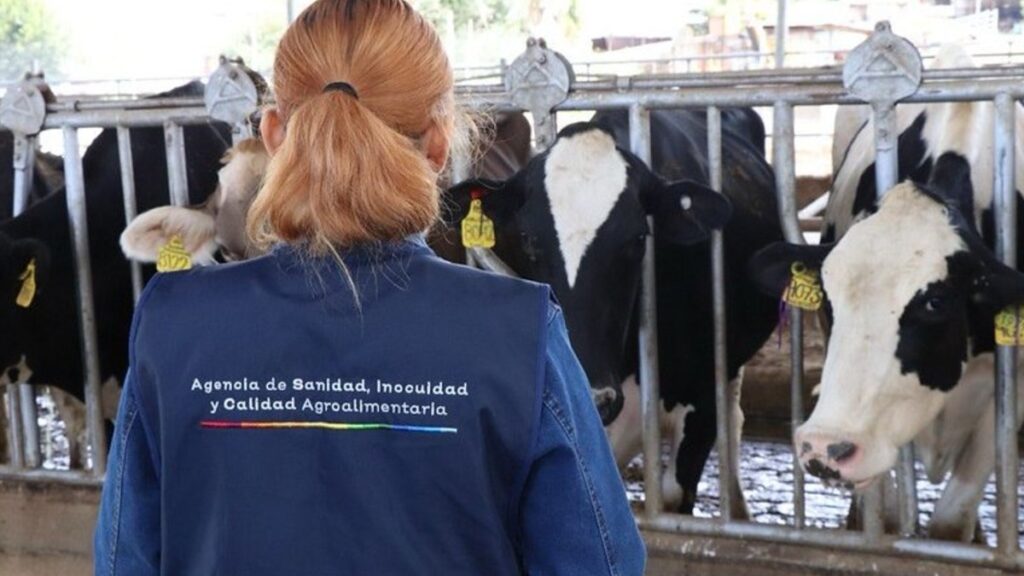 Activan protocolo epidemiológico por posibles casos de rabia en Jalisco