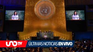 Reconocimiento a Palestina gana fuerza en la Asamblea de la ONU