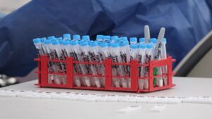 Alerta en Matamoros por gripe aviar detectada en una gaviota en Playa Bagdad