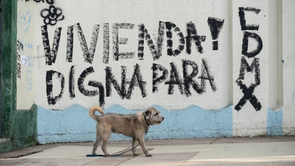 Cdmx Gentrificacion Sismo