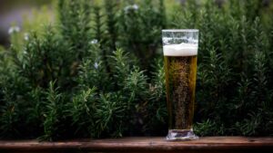 ¿Por qué hay cervezas con etiquetas rojas o verdes? Cervecero explica sus significados