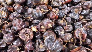 Chile chilhuacle, de mil pesos el kilo: origen, características y variedades