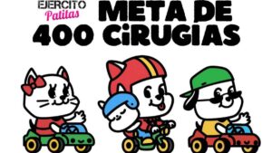 Arranca Caravana de Esterilización 2025 en Edomex: buscan 400 cirugías para perros y gatos