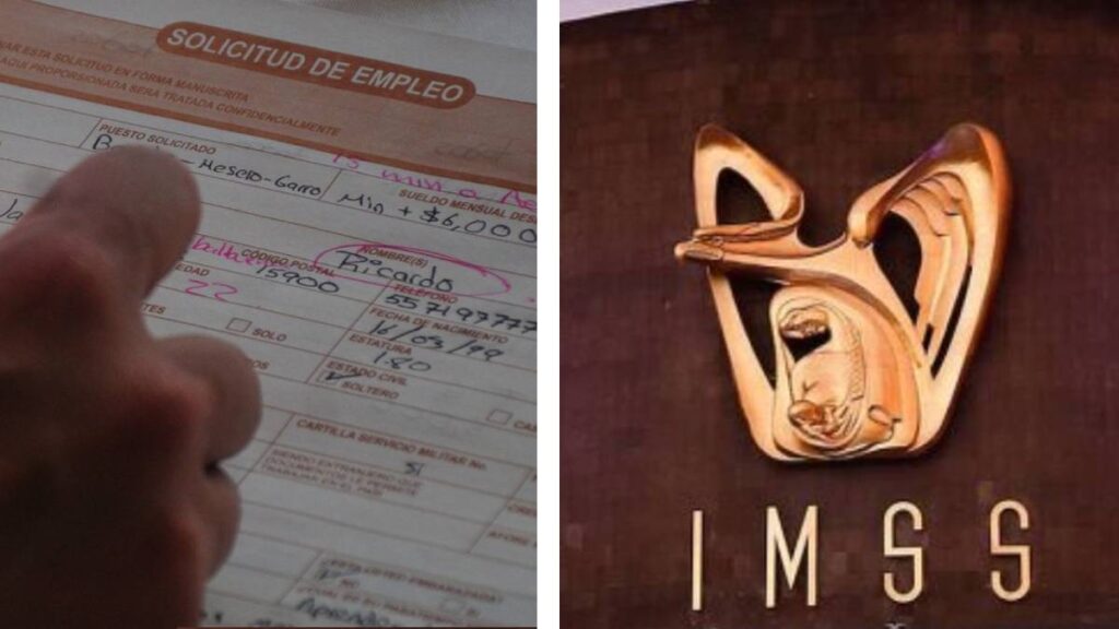 trabajo IMSS