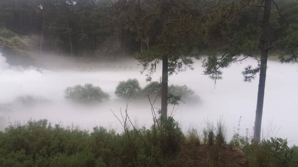 Desalojan a 3 mil personas por fuga de gas en Nanacamilpa, Tlaxcala