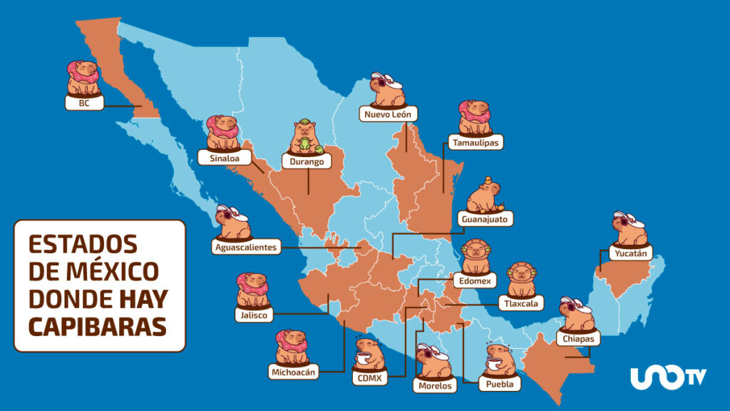Estados De Mexico Con Mas Capibaras