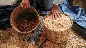 Gobierno discrimina a la economía social, advierten especialistas