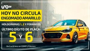 No circulan este lunes vehículos con placas terminación 5 y 6