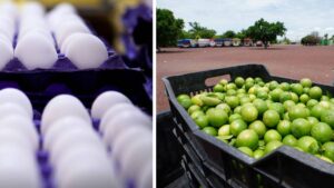 INPP en México sube 3.33 % anual en agosto; bajan aves y huevo, sube limón: Inegi