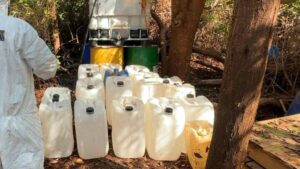 Caen cinco mexicanos en operativo antidrogas en Sudáfrica