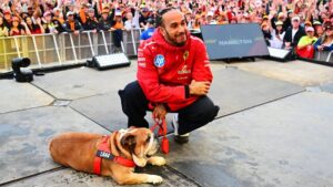 Lewis Hamilton comparte que su perro Roscoe está en coma tras contraer neumonía: “No sabemos si despertará”