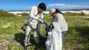 Yucatán se une para limpiar y proteger playas