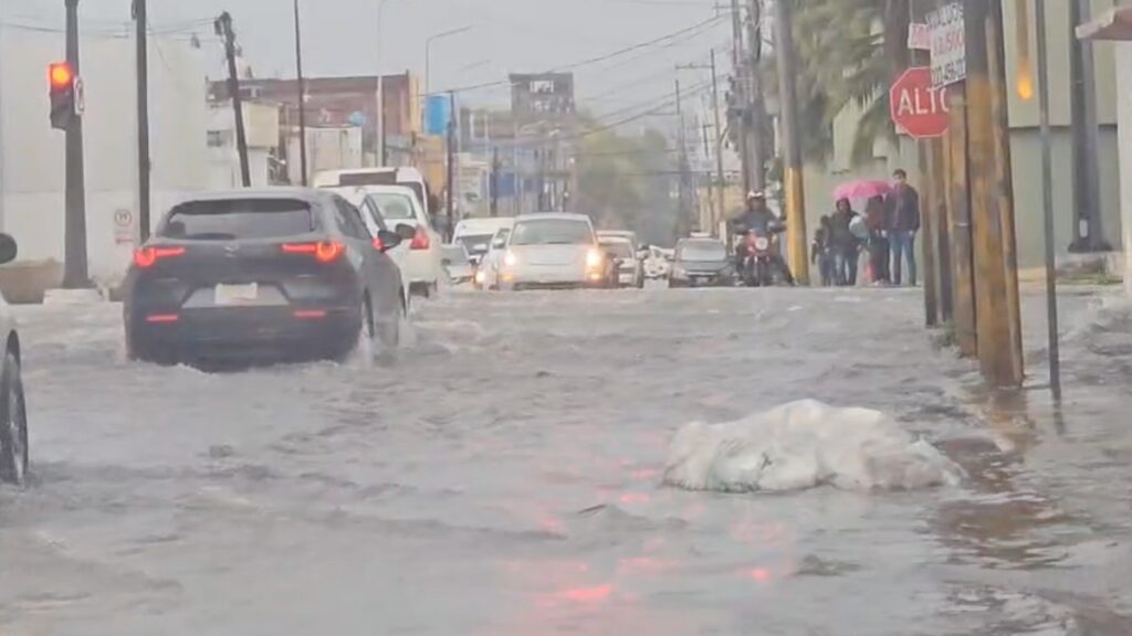 Lluvia torrencial deja inundaciones y árboles caídos en Puebla
