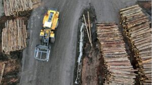 Trump fija aranceles a importaciones de madera; México entre los afectados