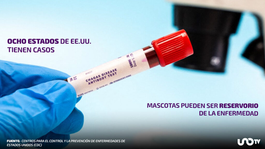 ¡Alertan por la enfermedad de Chagas en EE.UU.!