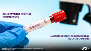 Crecen casos de enfermedad de Chagas en EE.UU. y piden considerarla como afección endémica