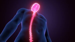 Lesiones de médula espinal podrían tratarse con impresión 3D y células madre