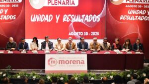 Morena y la 4T: más control, menos democracia