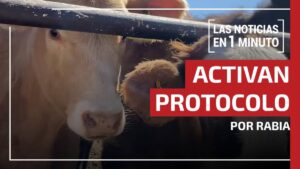 Noticias de hoy 3 de septiembre de 2025, en un minuto, hasta las 14:00 horas