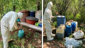 Aseguran y destruyen 16 áreas con precursores químicos para elaboración de drogas en Sinaloa