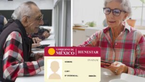 Inapam: en estos casos debes renovar tu credencial