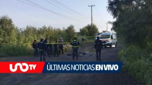 “México lindo y querido”, la última publicación del cantante colombiano B-King: noticias sobre el caso de los músicos colombianos