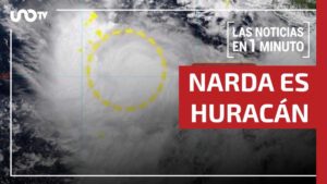 Noticias de hoy 23 de septiembre de 2025, en un minuto, hasta las 19:00 horas