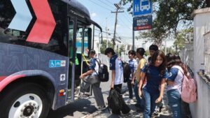 Regio Ruta: ¿cuáles son las Líneas disponibles del nuevo transporte gratuito?