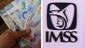 Renta Vitalicia IMSS: cómo retirarte antes de los 60 y recibir pensión de por vida