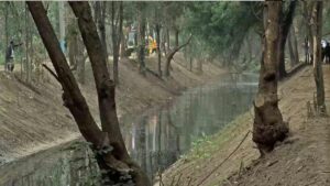Limpian río Ameca para prevenir inundaciones