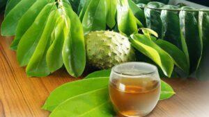 Té de guanábana: ¿para qué sirve y cuáles son sus beneficios?