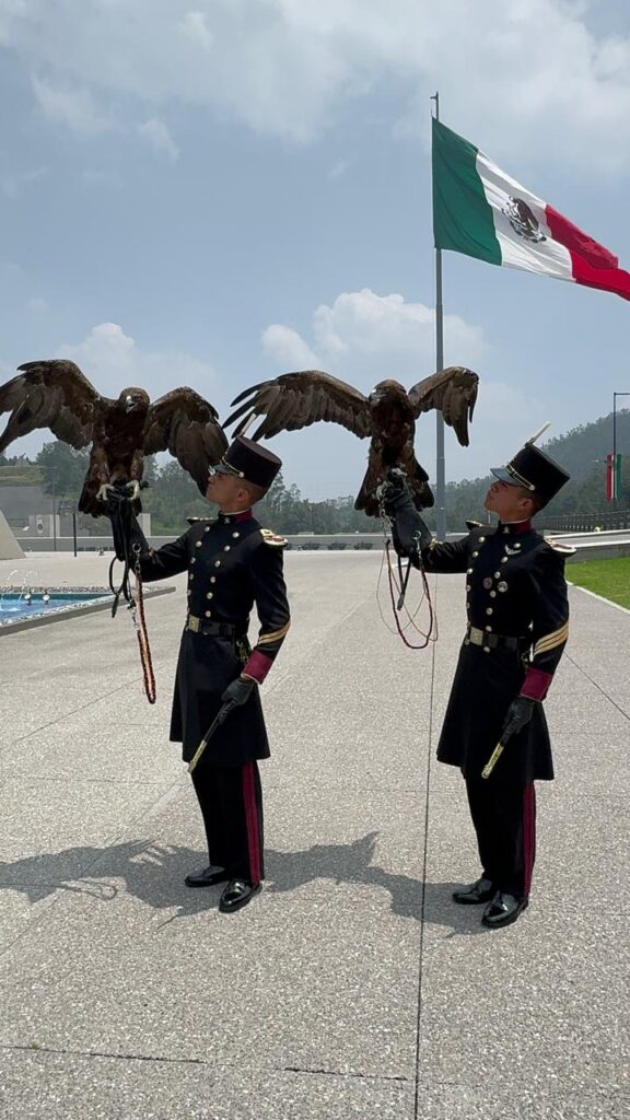 Uniforme de Gran Gala, Defensa