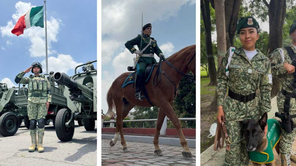 Uniformes Defensa, Desfile 2025