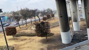 Los olvidados de la Concordia: ¿qué fue de los indigentes que vivían cerca de la explosión en Iztapalapa?