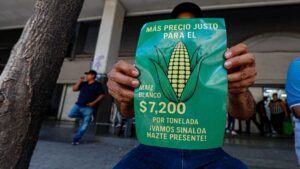 Campesinos rechazan oferta de 6 mil 50 por tonelada de maíz