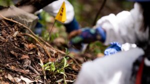 Alarman desapariciones en el Ajusco: mujeres y hombres, entre las víctimas