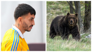 Ángel Correa, jugador de Tigres, protagoniza inesperado encuentro con un oso en Monterrey