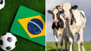 Muere Antony Ylano, joven promesa del fútbol brasileño tras chocar su moto con una vaca: video