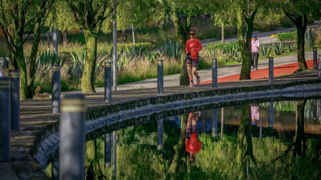 Carrera en alcaldía Cuajimalpa