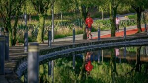 Prepárate para sudar: repartirán casi 200 mil pesos en Carrera del Venado en Cuajimalpa