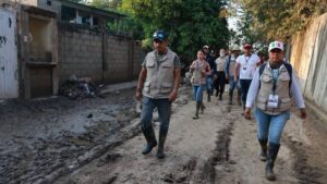 Bienestar reporta casi 39 mil viviendas censadas tras inundaciones en cinco estados