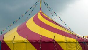 Clausuran circo en Tijuana tras colapso que dejó dos heridos