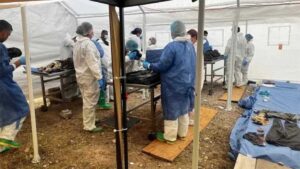 Identifican a 105 de los 386 cuerpos del crematorio “Plenitud” en Chihuahua