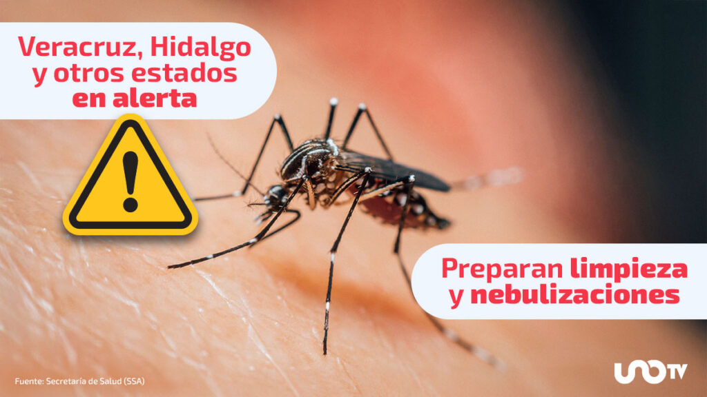 Anuncian medidas para prevenir dengue tras fuertes lluvias