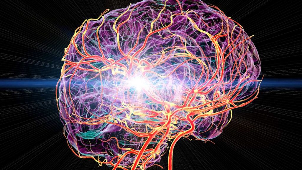 Derrame cerebral: segunda causa de muerte mundial y principal origen de discapacidad en sobrevivientes