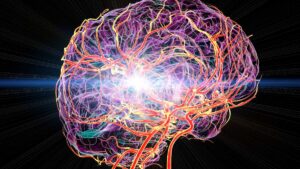 Derrame cerebral: segunda causa de muerte mundial y principal origen de discapacidad en sobrevivientes